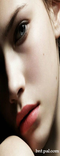 ♥ bntpal.com_144836646