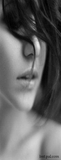 ♥ bntpal.com_144836646