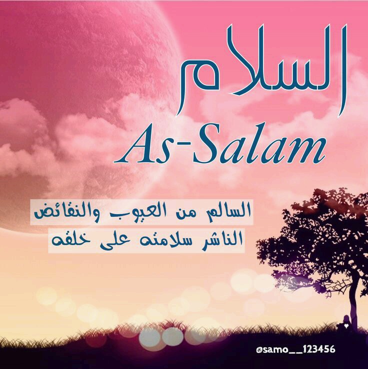  bntpal.com_144837291