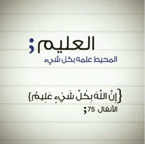  bntpal.com_144837291