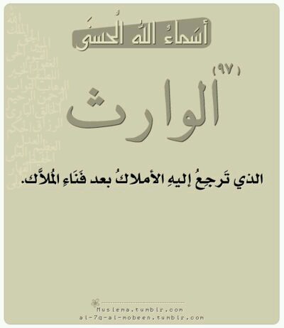  bntpal.com_144837291