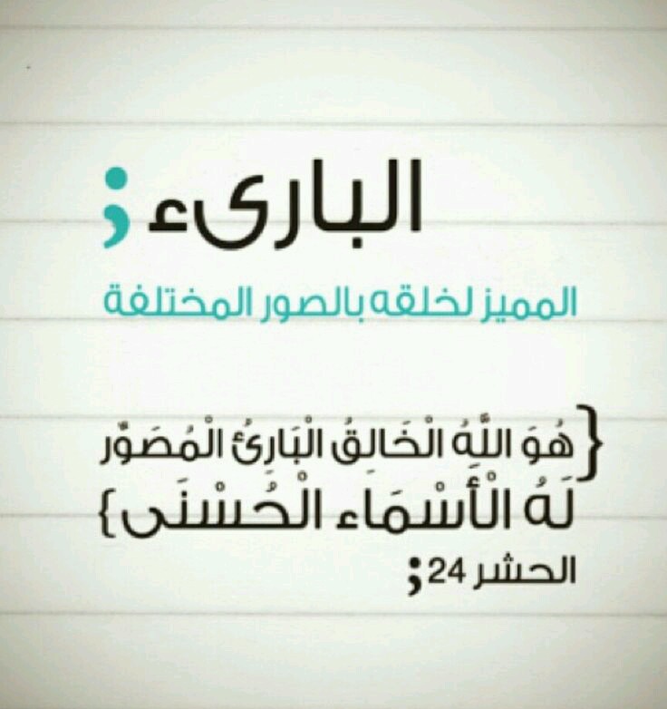  bntpal.com_144837291