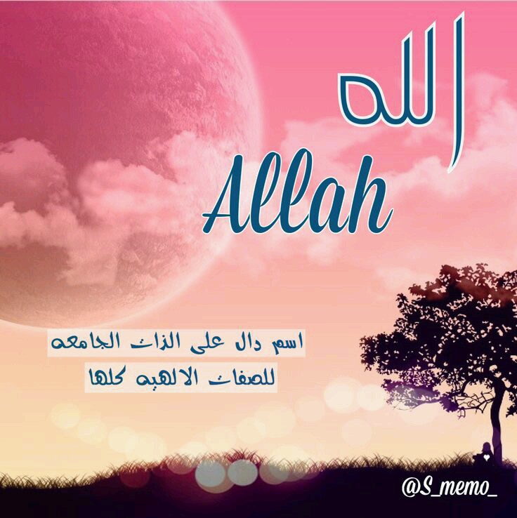  bntpal.com_144837291