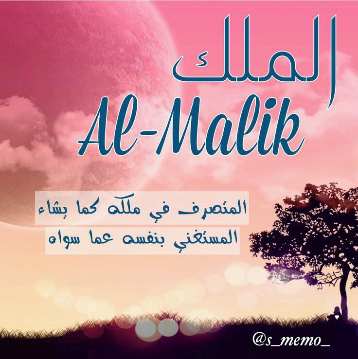  bntpal.com_144837291