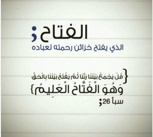  bntpal.com_144837291