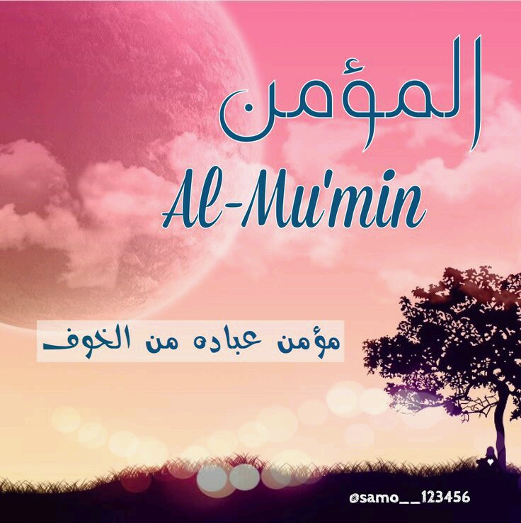  bntpal.com_144837291