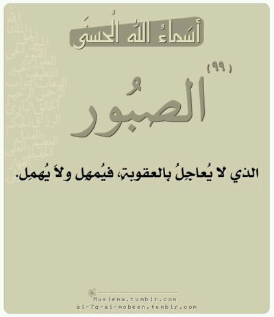  bntpal.com_144837291