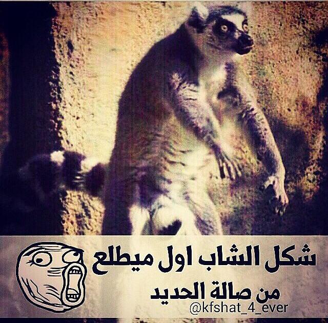   bntpal.com_144838639