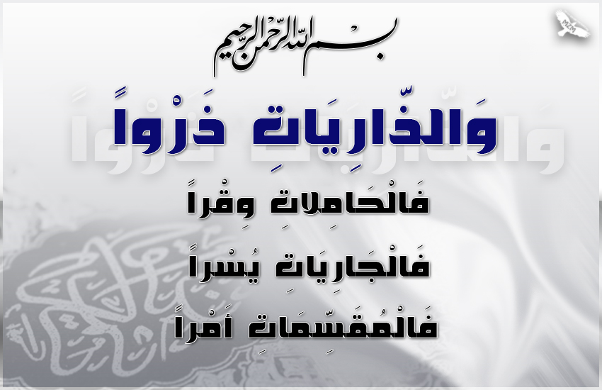  bntpal.com_144844997
