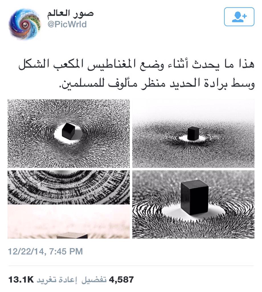 bntpal.com_144847705