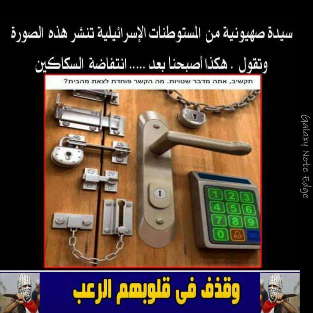 bntpal.com_144847705