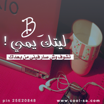  bntpal.com_144848615