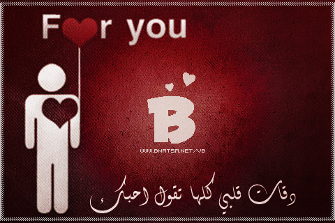  bntpal.com_144848615