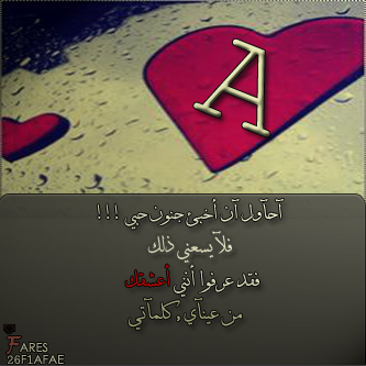  bntpal.com_144848656