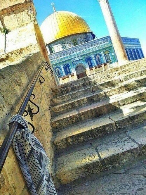 🌾 bntpal.com_144855124