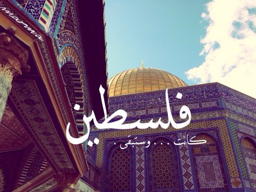 🌾 bntpal.com_144855141