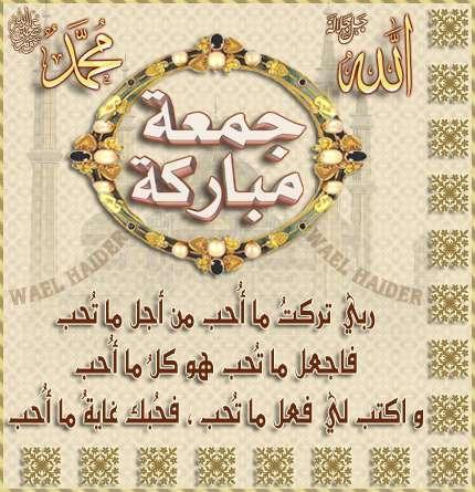 bntpal.com_144861302