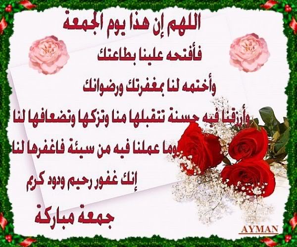 bntpal.com_144861302