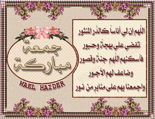 bntpal.com_144861302
