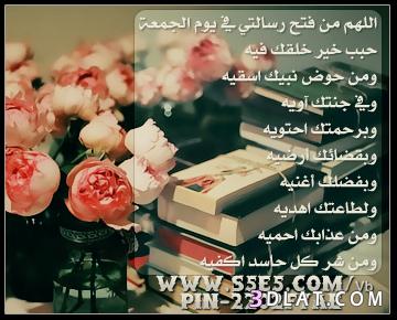 bntpal.com_144861302