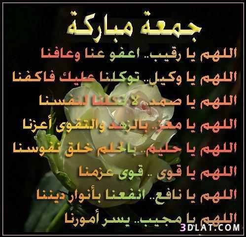 bntpal.com_144861302