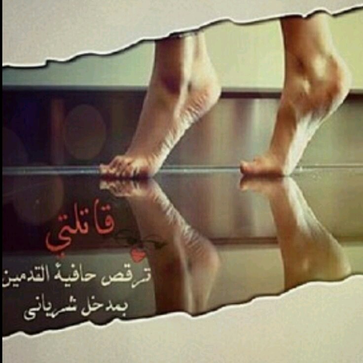   bntpal.com_144866264