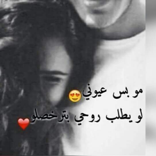    bntpal.com_144866859