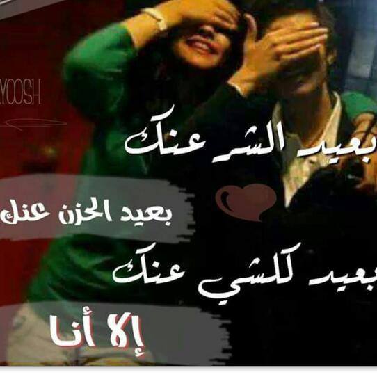    bntpal.com_144866859