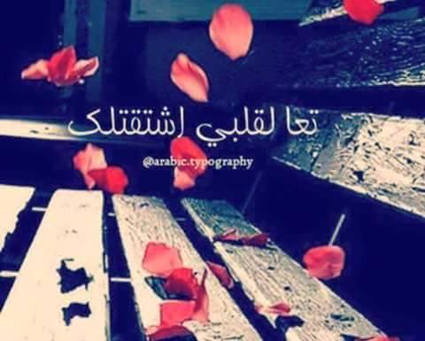    bntpal.com_144866859