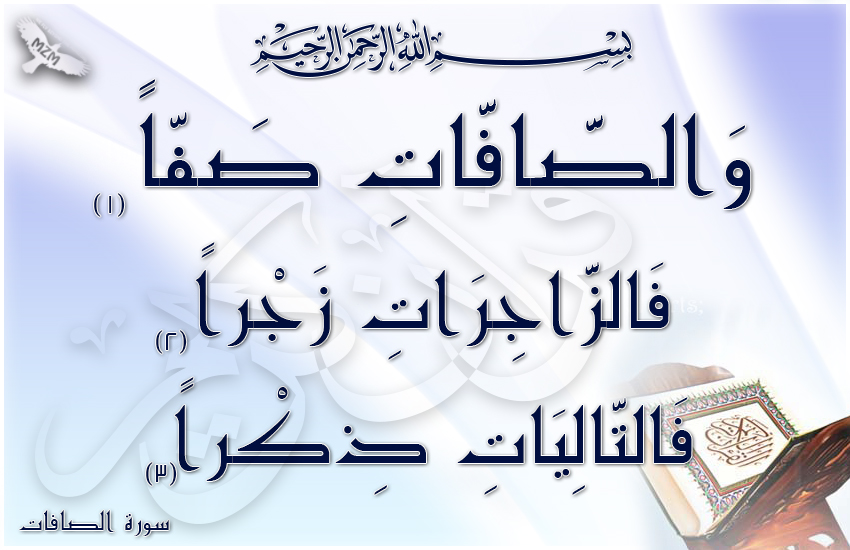  bntpal.com_144880445