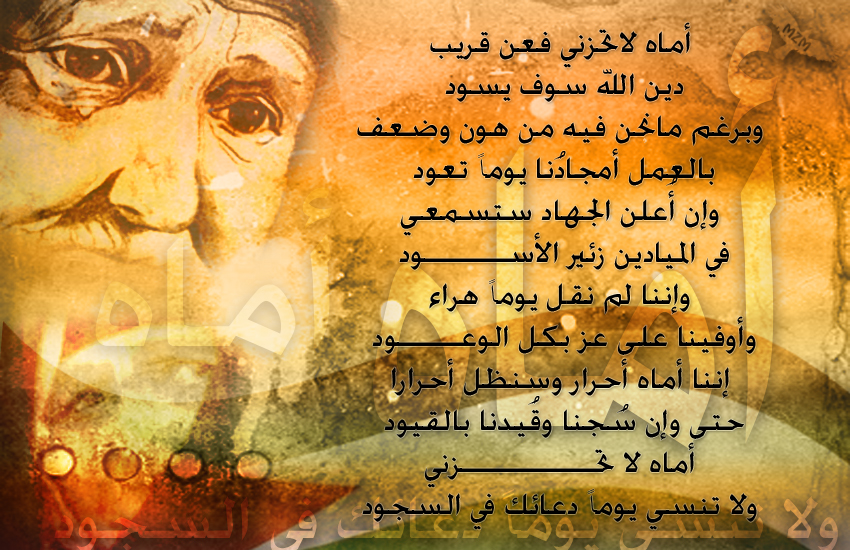 bntpal.com_144888932