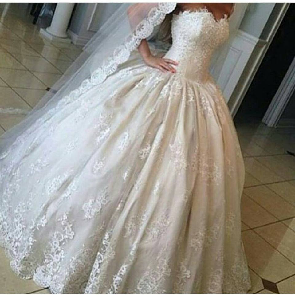 bntpal.com_144904618