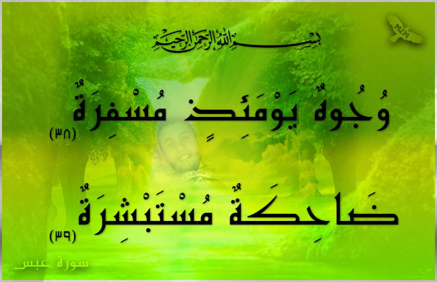 (  ) bntpal.com_144905703