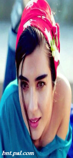 ♥ bntpal.com_144931068