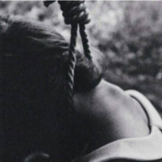 ✿. ✿ bntpal.com_144957473