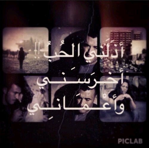   bntpal.com_144991523