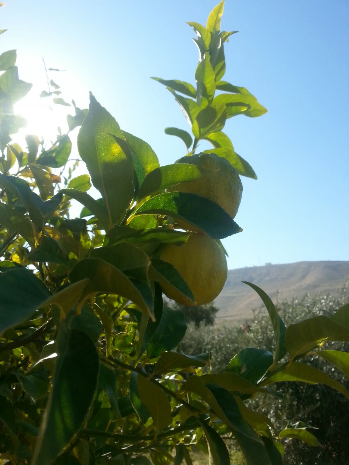 bntpal.com_144995665