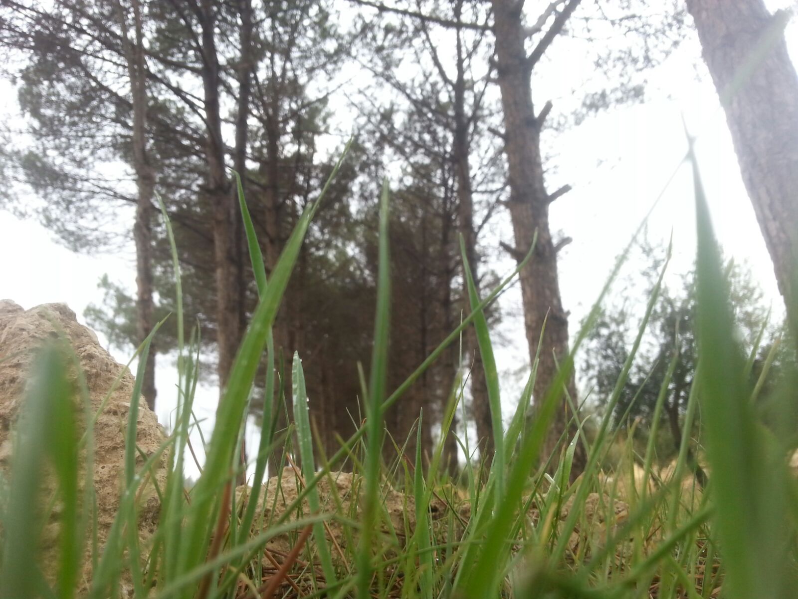 bntpal.com_144995738