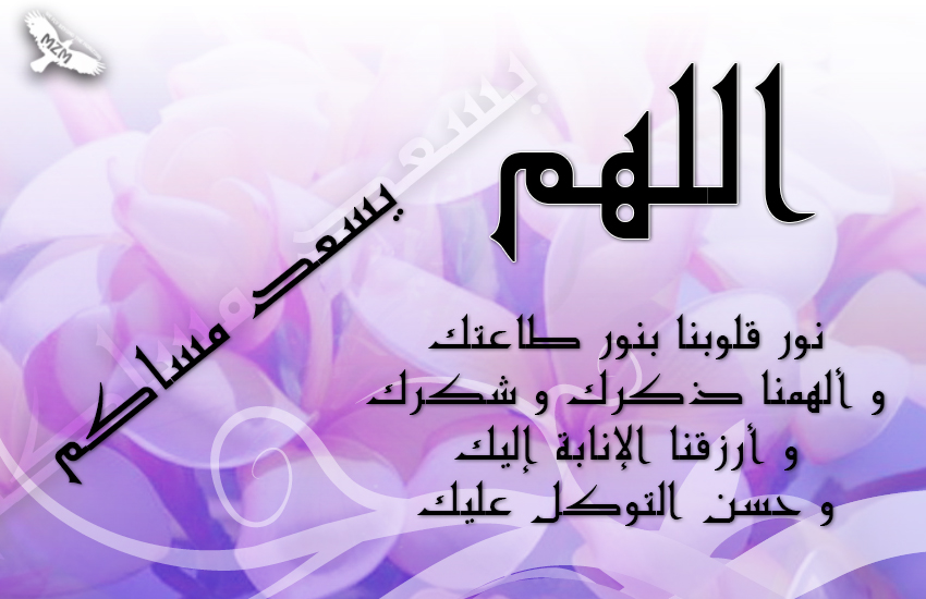 bntpal.com_145018326