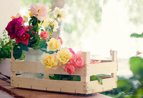 bntpal.com_145021662