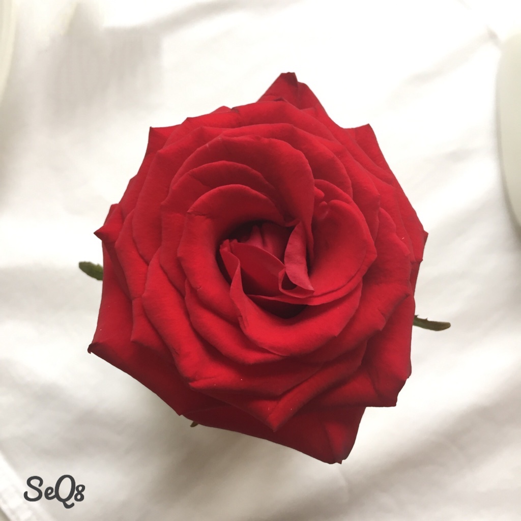 bntpal.com_145021662