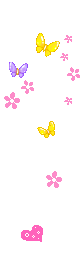   tr11.gif