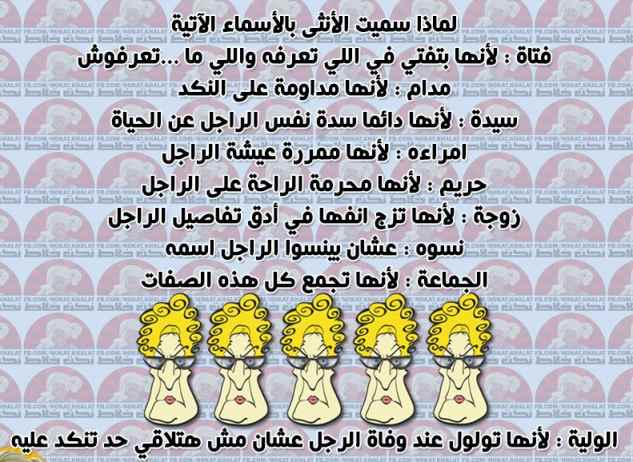 bntpal.com_145132520