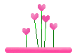 bntpal.com_145160565