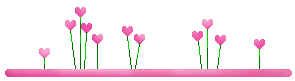 bntpal.com_145160565