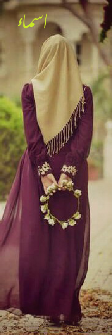 bntpal.com_145201405