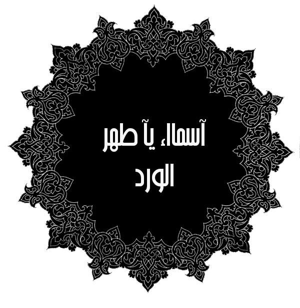 bntpal.com_145201444