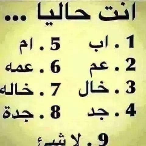 ♥ bntpal.com_145232235