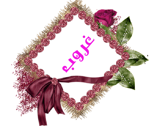 💜 bntpal.com_145233178