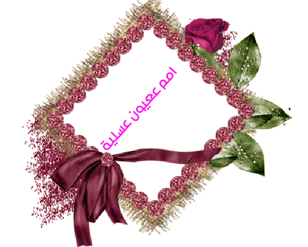 💜 bntpal.com_145233178